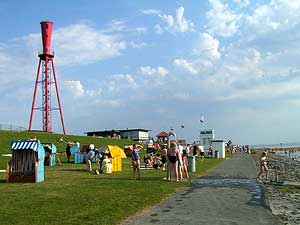 Sommerliches Treiben in Eckwarderhrne