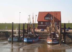 Krabbenkutter in Fedderwardersiel