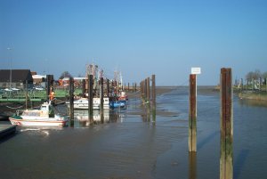 Das Hafenbecken bei Ebbe