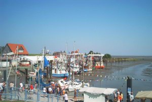 Fedderwardersiel - der Hafen