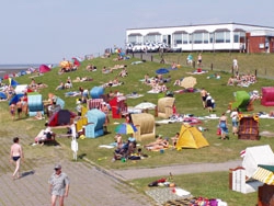 Sommerlich belebter Deich bei Tossens